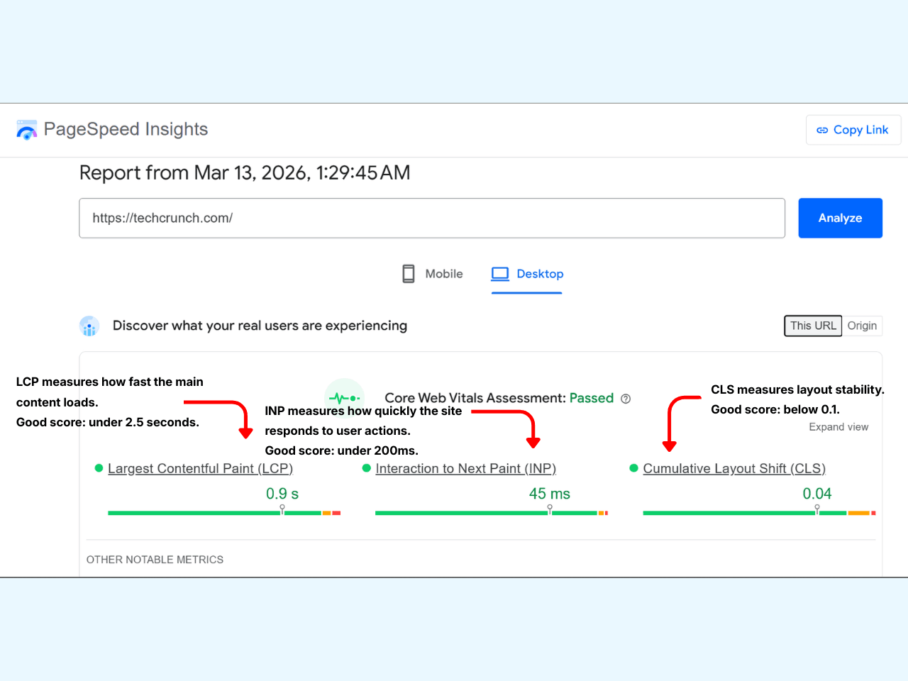 Google PageSpeed Insights Results Page Showing Core Web Vitals Metrics