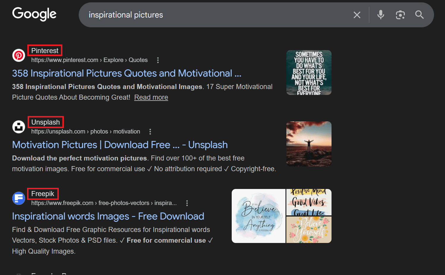 Google Search Screenshot