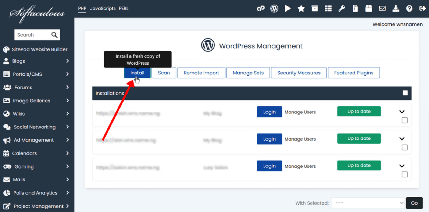 Softaculous WordPress overview page showing the blue "Install Now" button in the top left corner
