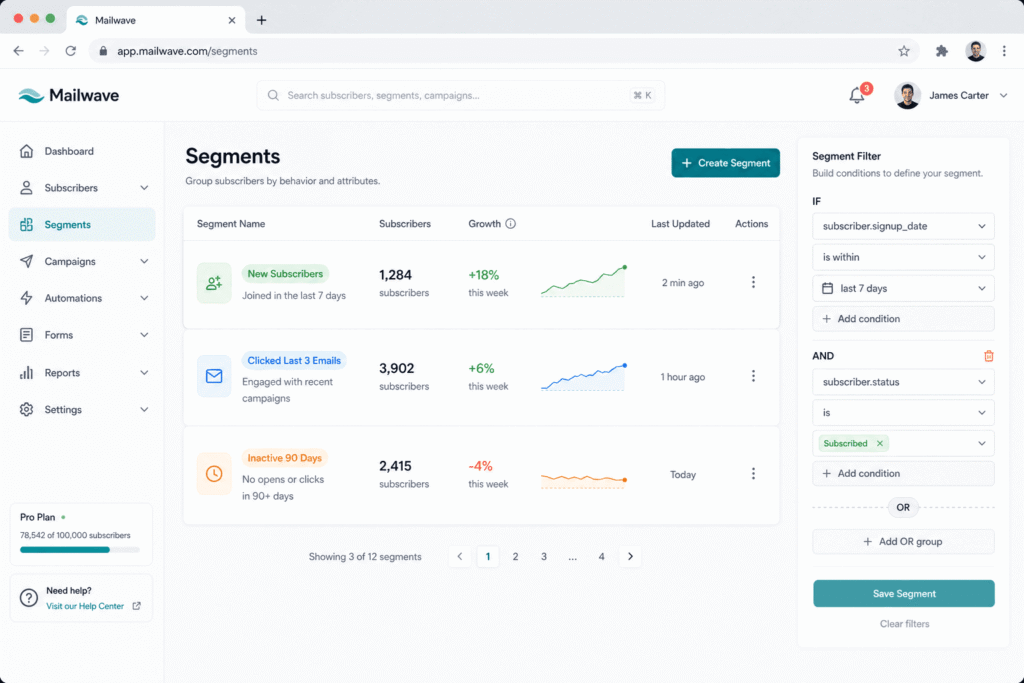 Email List Building Guide: Grow Your Subscribers from Zero Subscriber Segmentation Panel