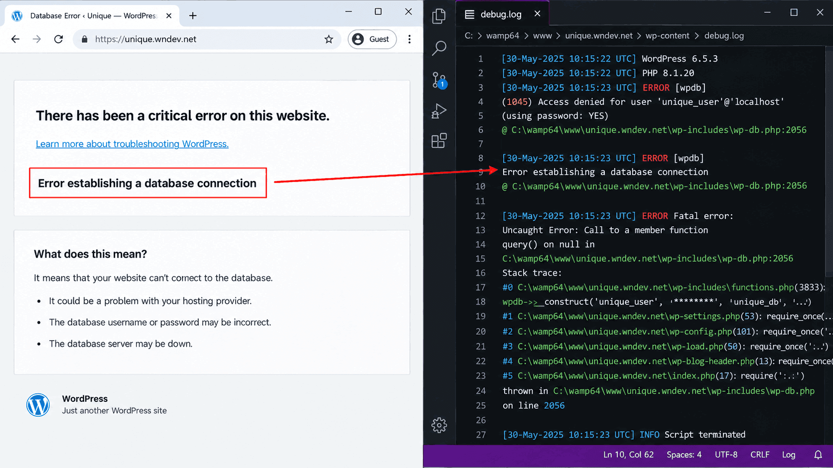 WordPress Logs and Error Reporting: Monitor Your Site Health wordpress debugging with frontend errors and debug logs