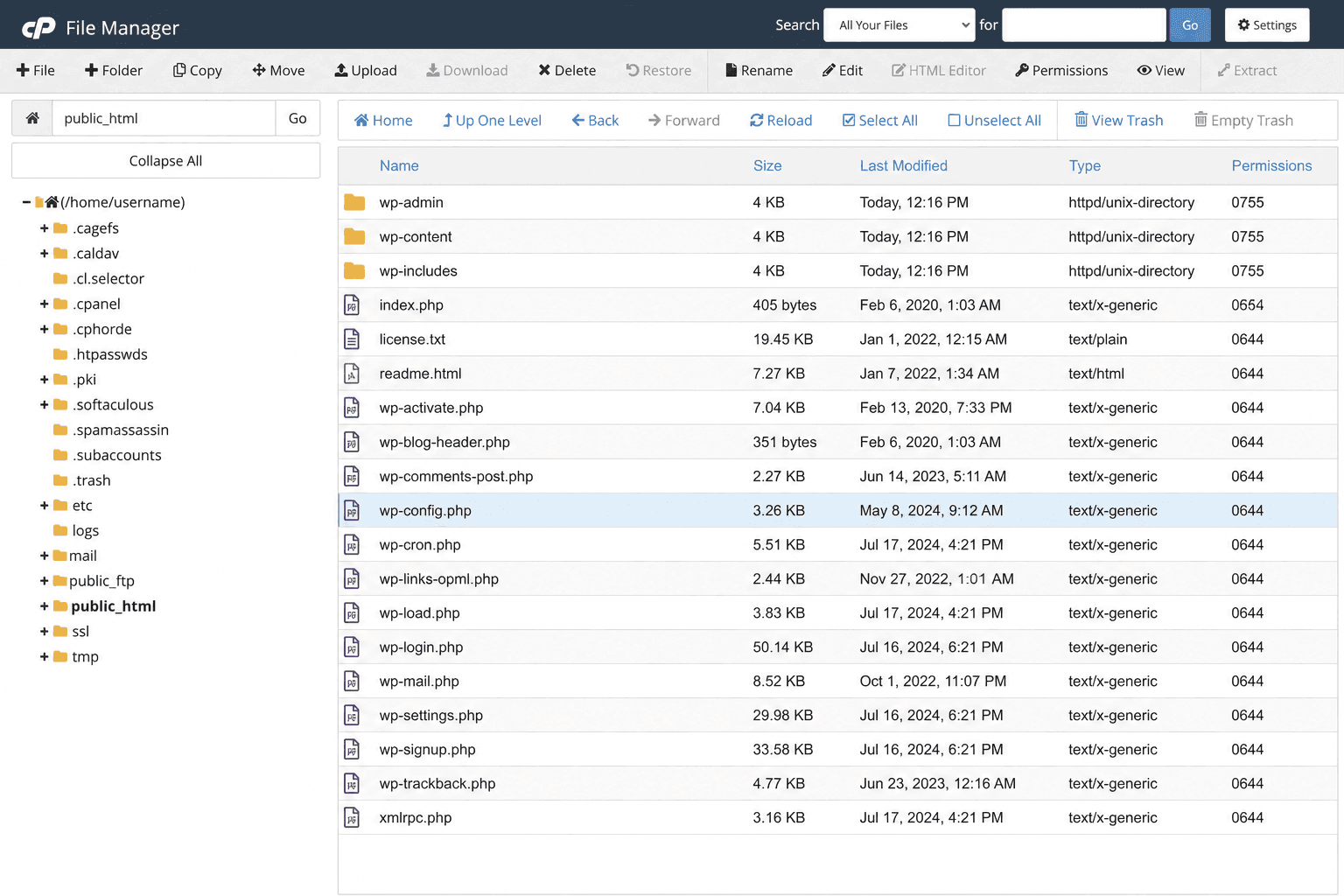WordPress Logs and Error Reporting: Monitor Your Site Health cpanel public html directory with wp config.php highlighted